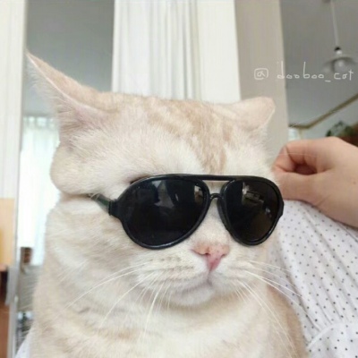 把球传给老詹啊