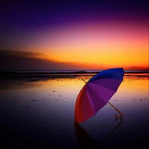 wty0731人类动物园QwQ